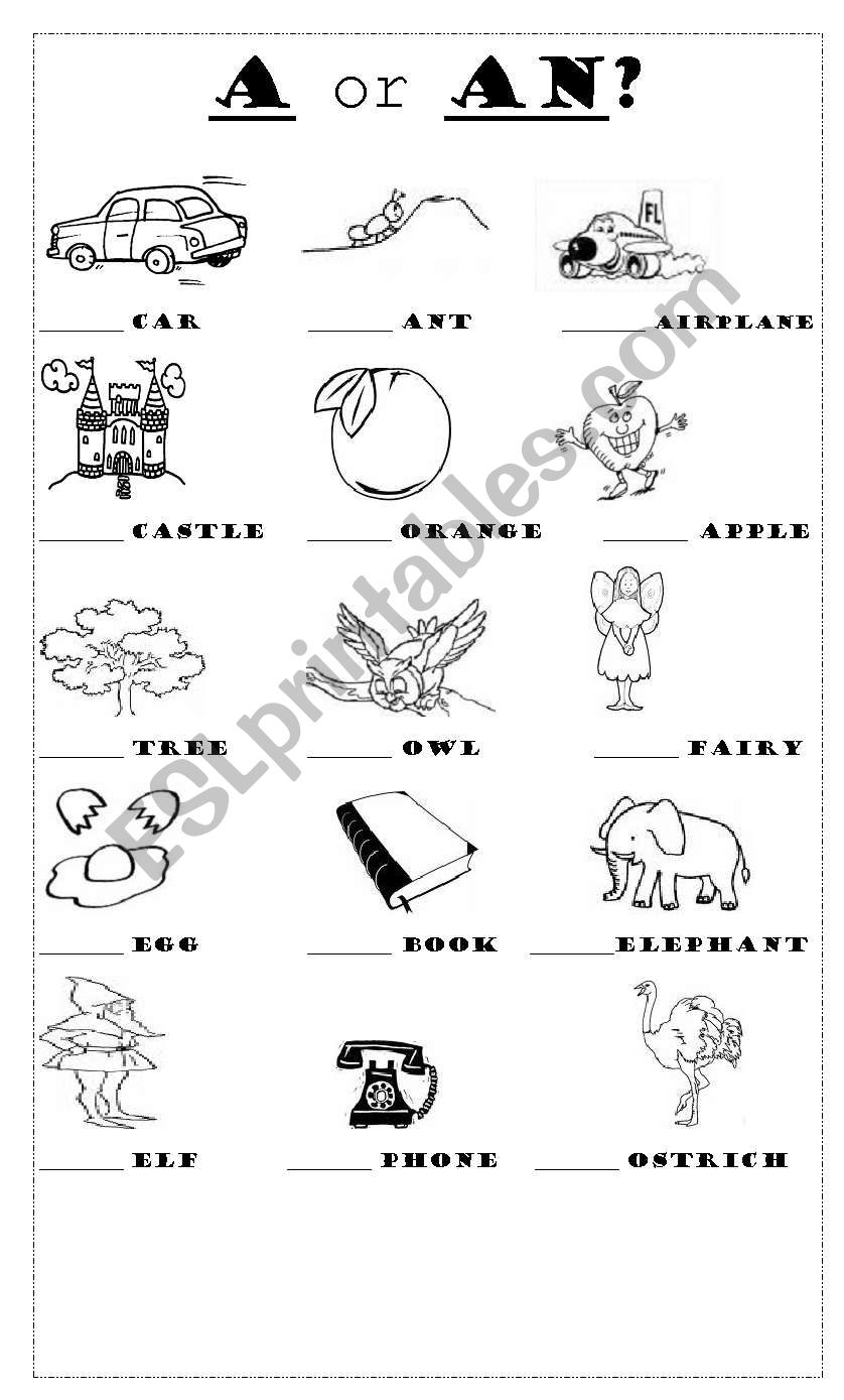 A or AN? worksheet