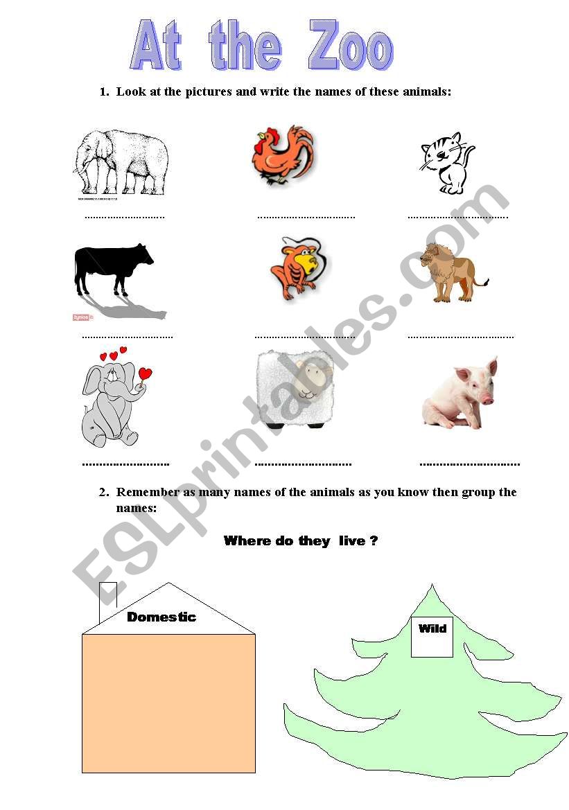 At the Zoo worksheet