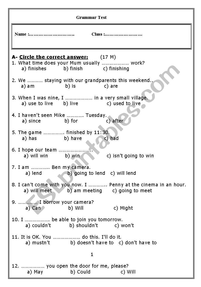 Grammar Test worksheet