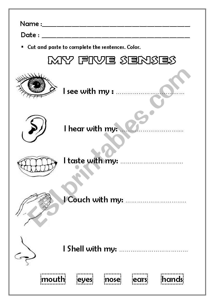 My five senses worksheet