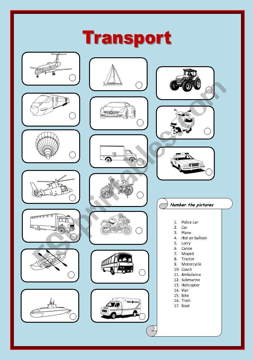 Transport Picture Dictionary worksheet