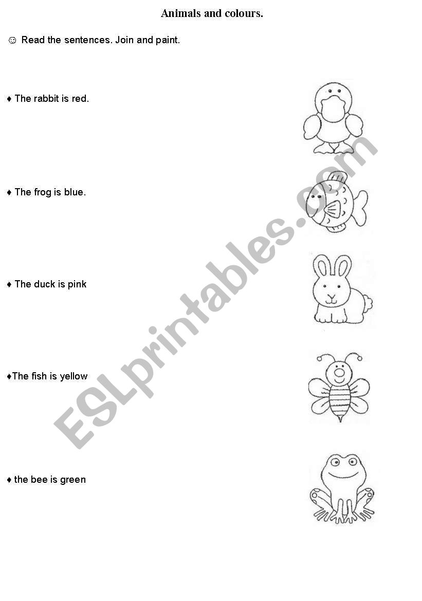 animals and colours worksheet