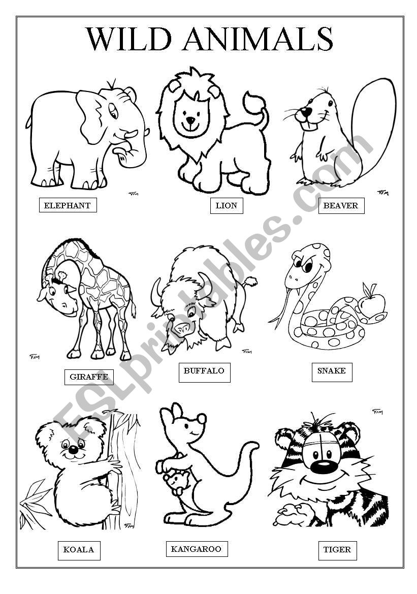 WILD ANIMALS - ESL worksheet by famosa