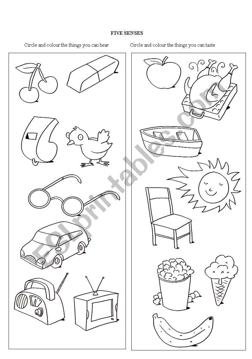 five senses worksheet