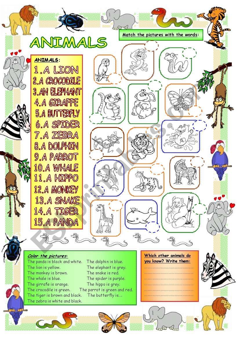 Elementary Vocabulary Series2 - Animals