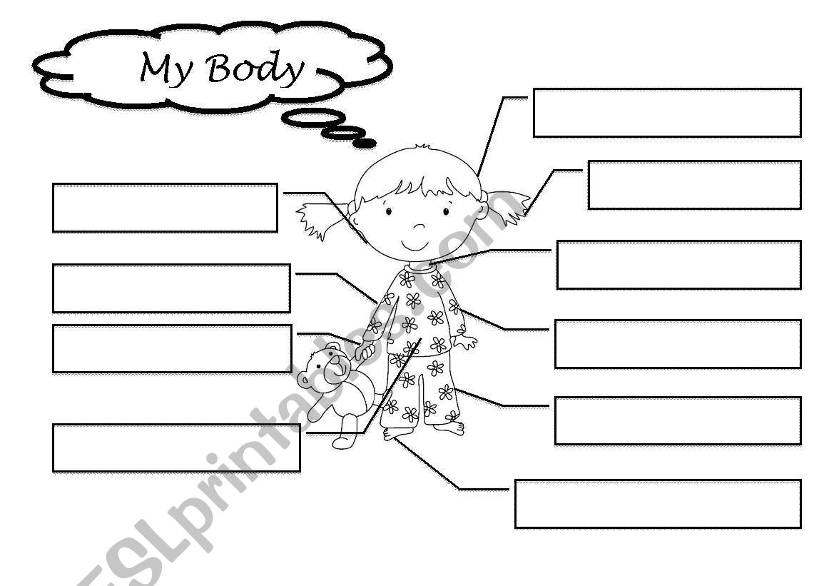 Body parts worksheet