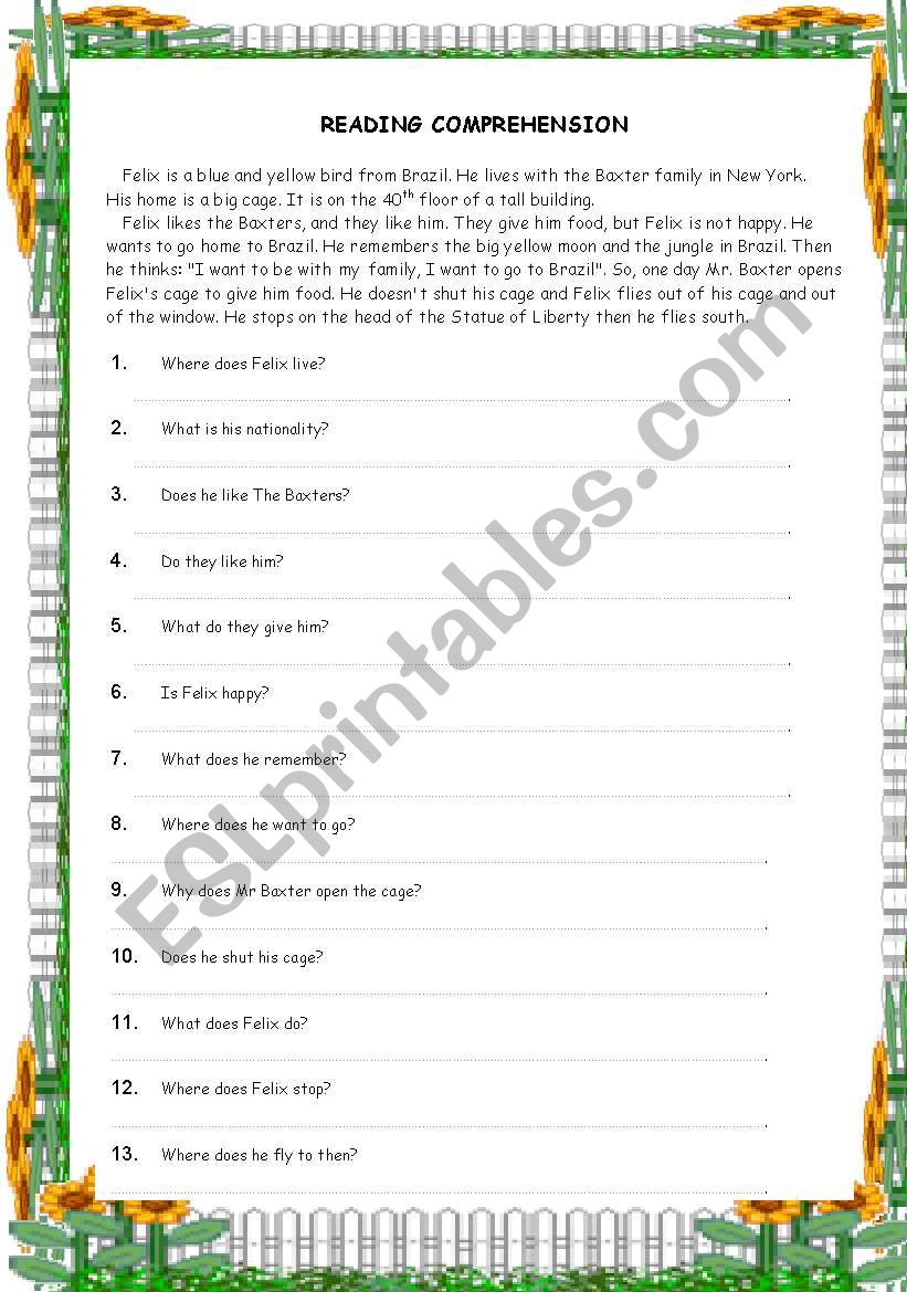 READING COMPREHENSION worksheet