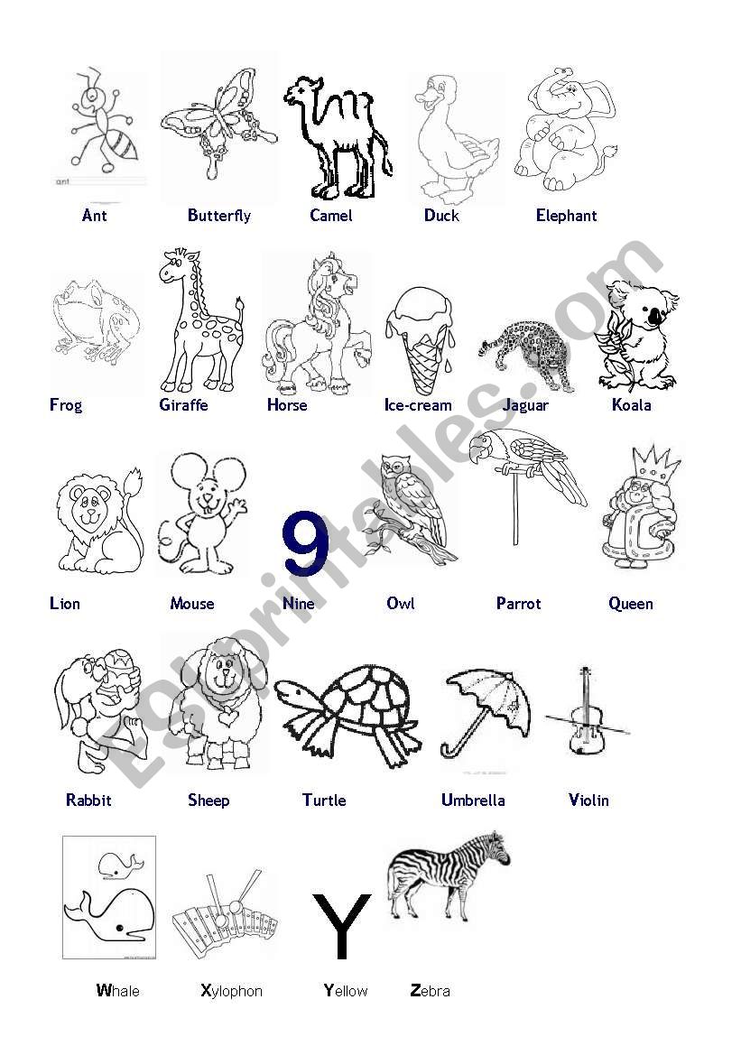 picture alphabet worksheet