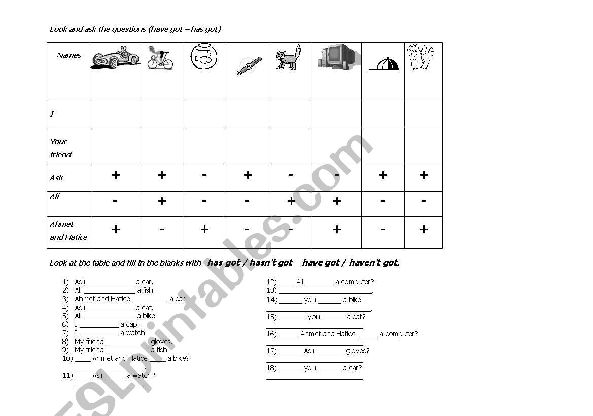 has got/ have got worksheet