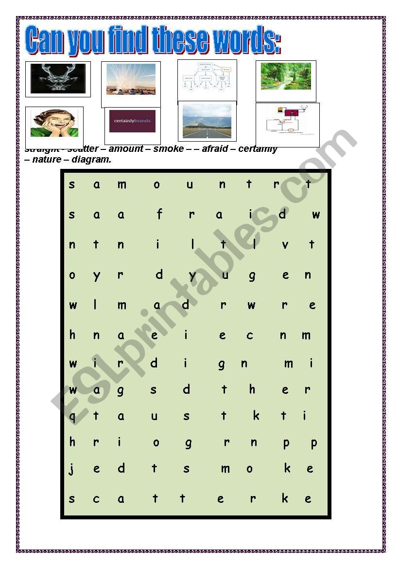 Vocabulary Quiz worksheet