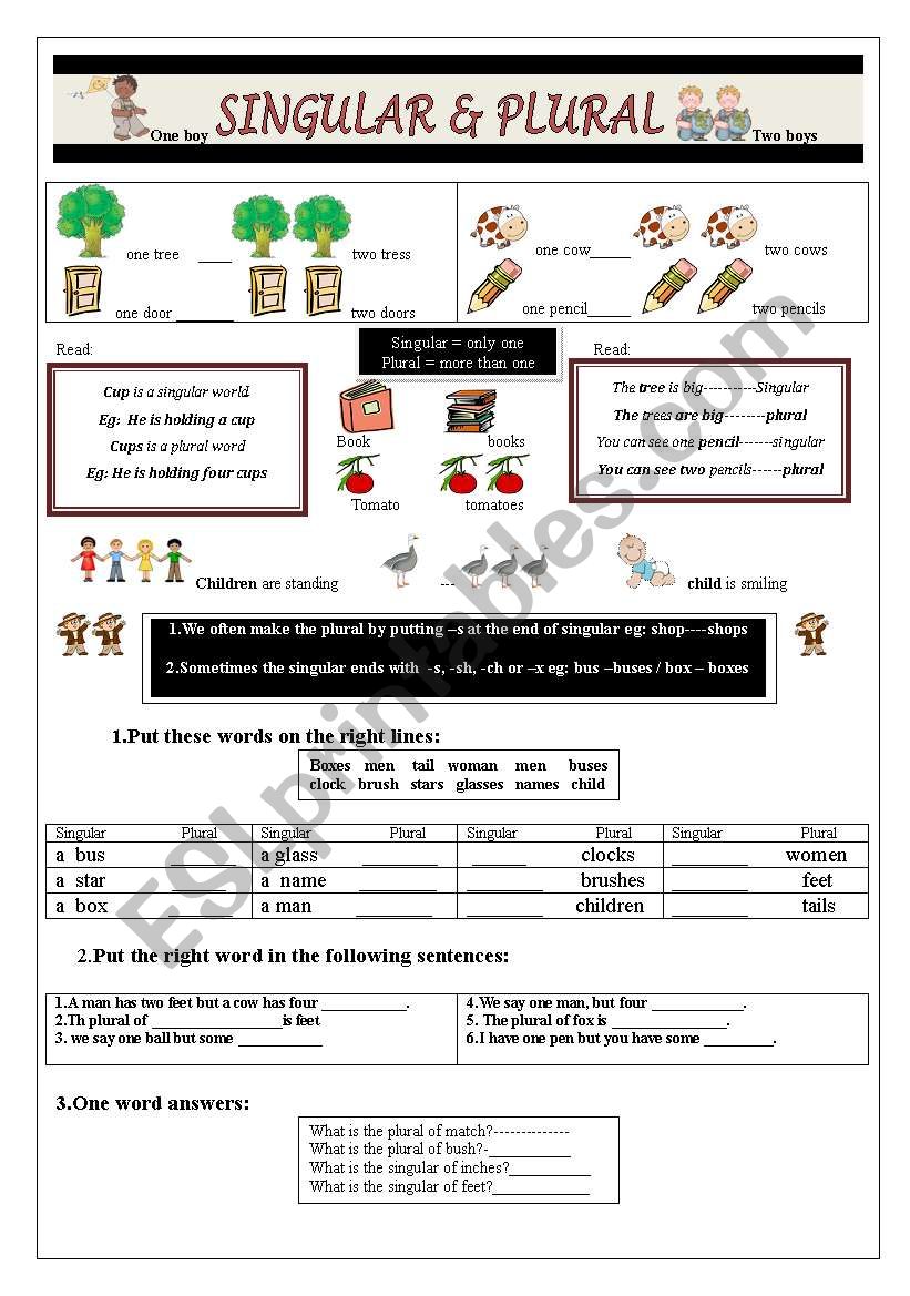 Singular and Plural worksheet