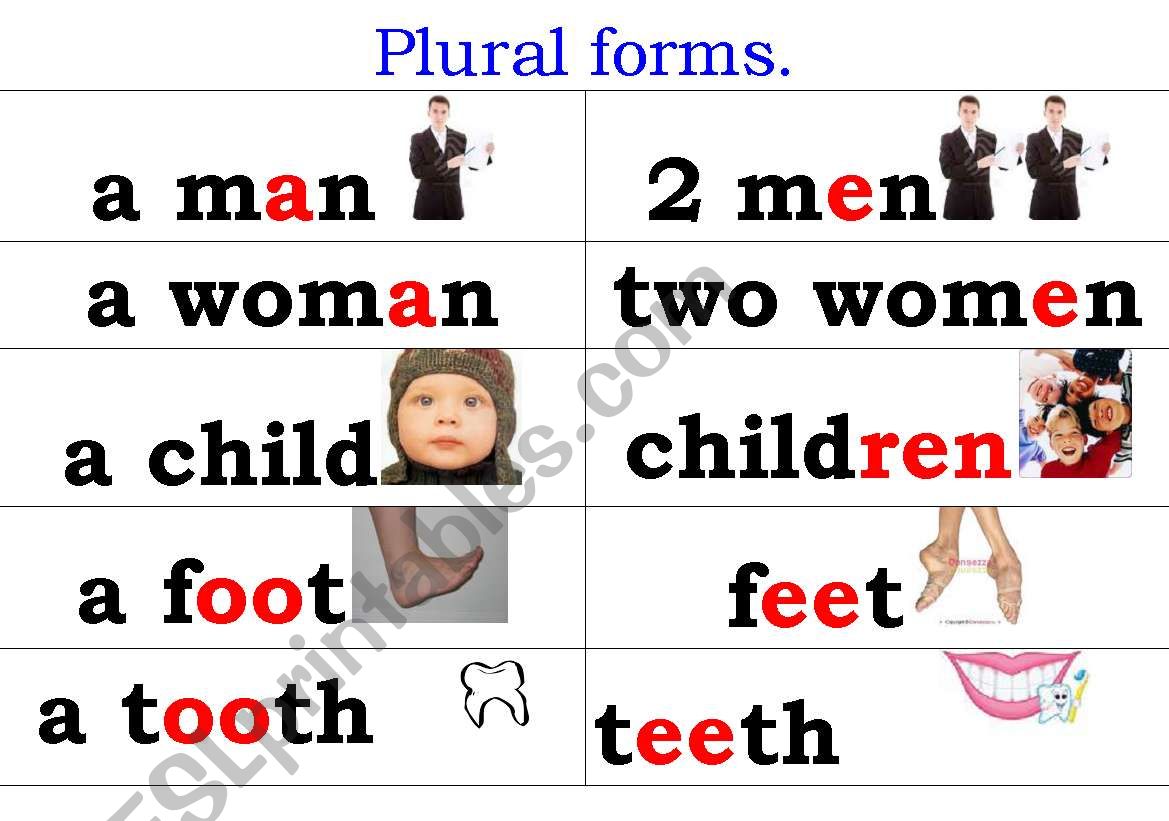 Nouns Plural forms  worksheet