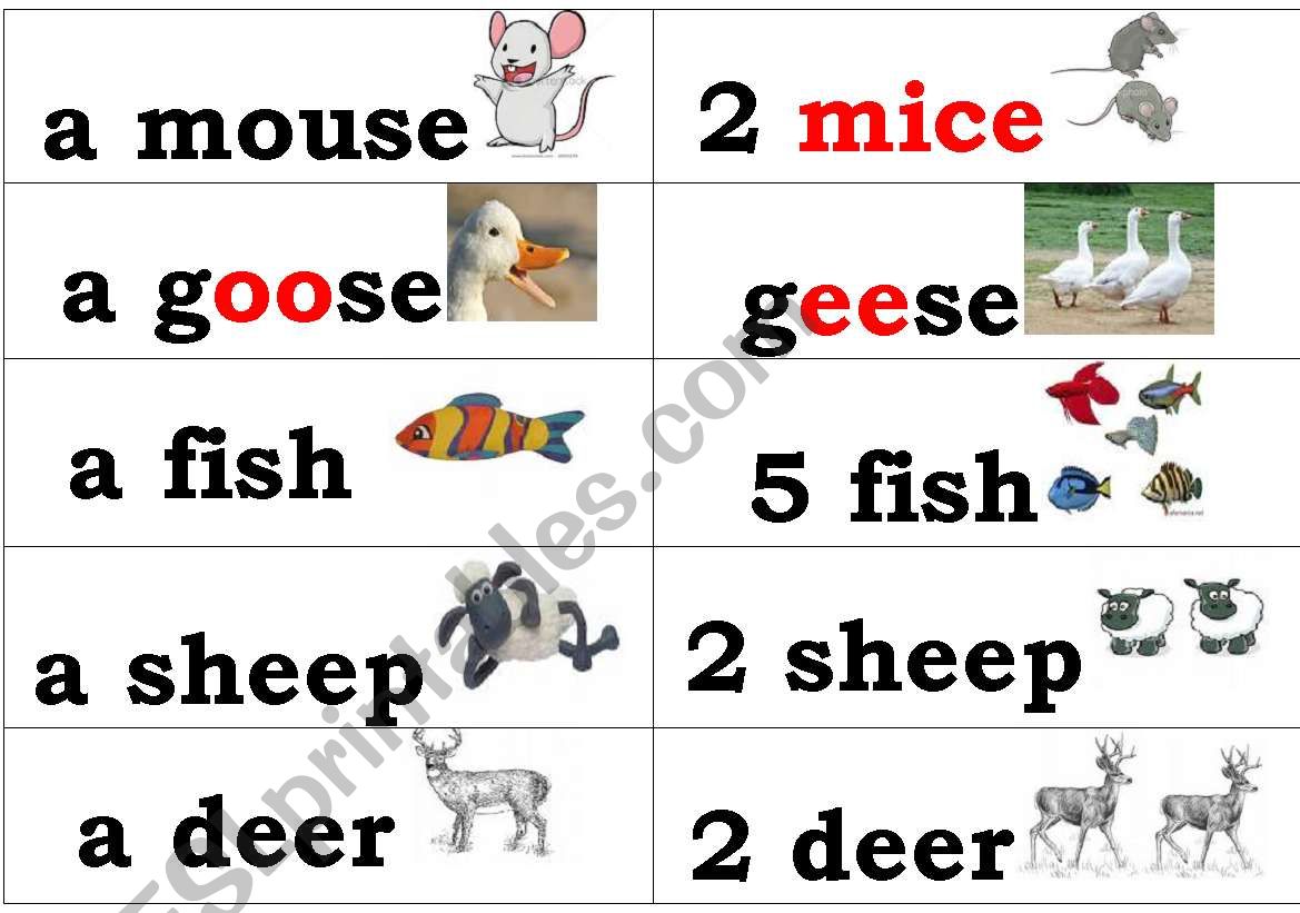 Plurals  worksheet