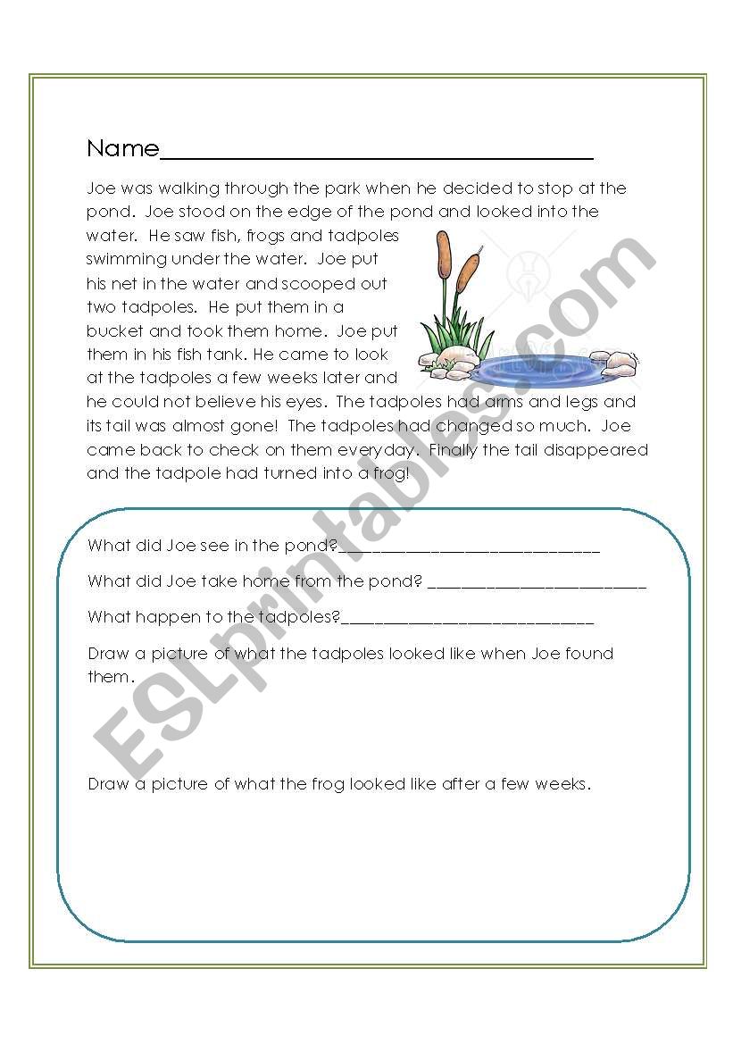 Reading Comprehension worksheet