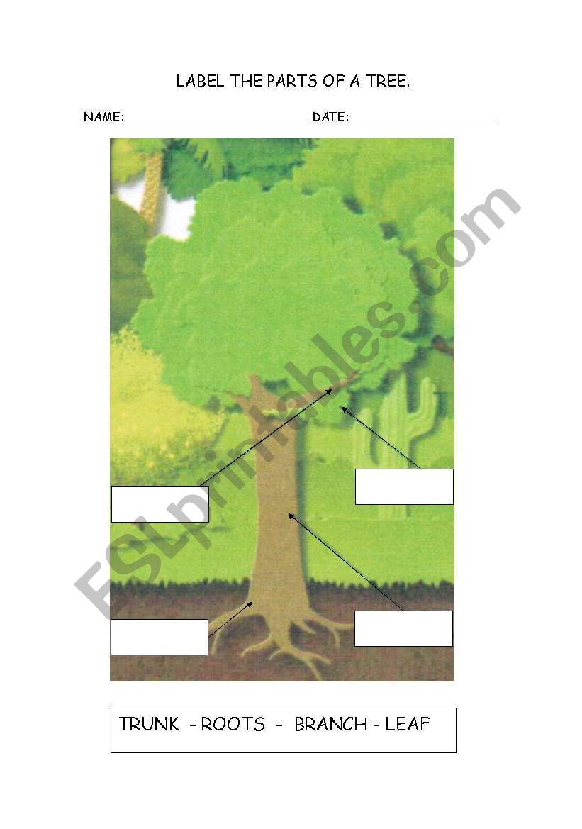 Lable the parts of a tree worksheet