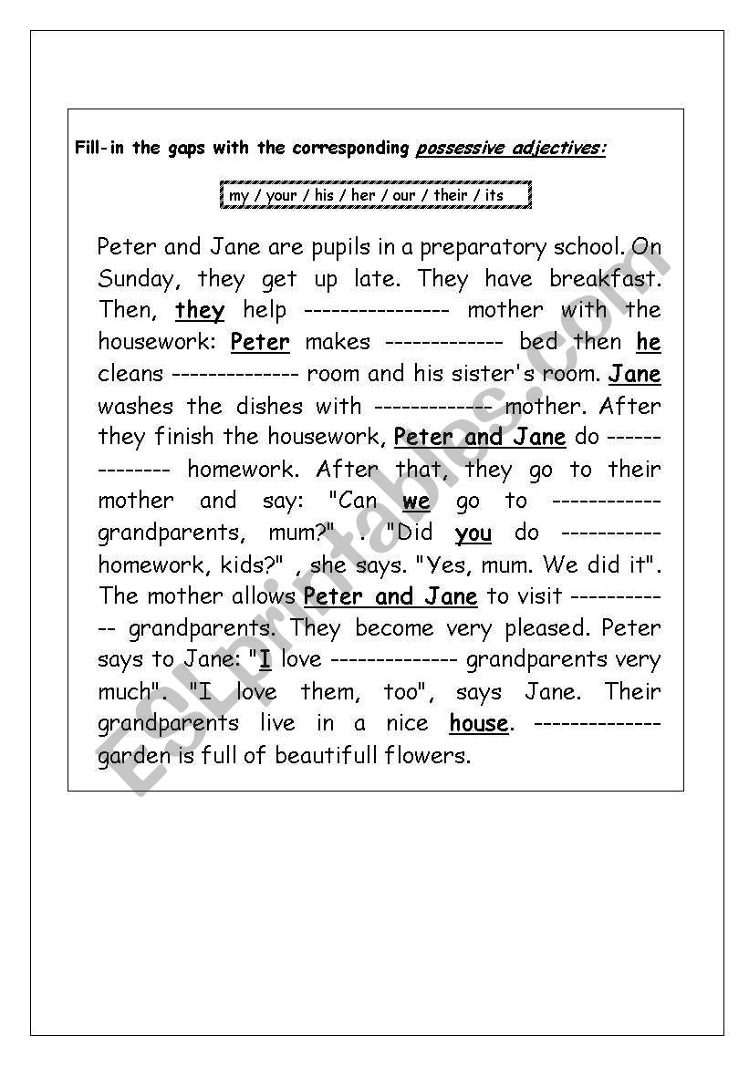 Possessive adjectives worksheet