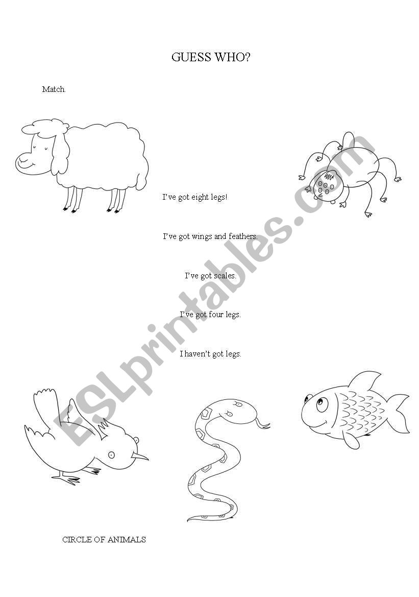 animals worksheet