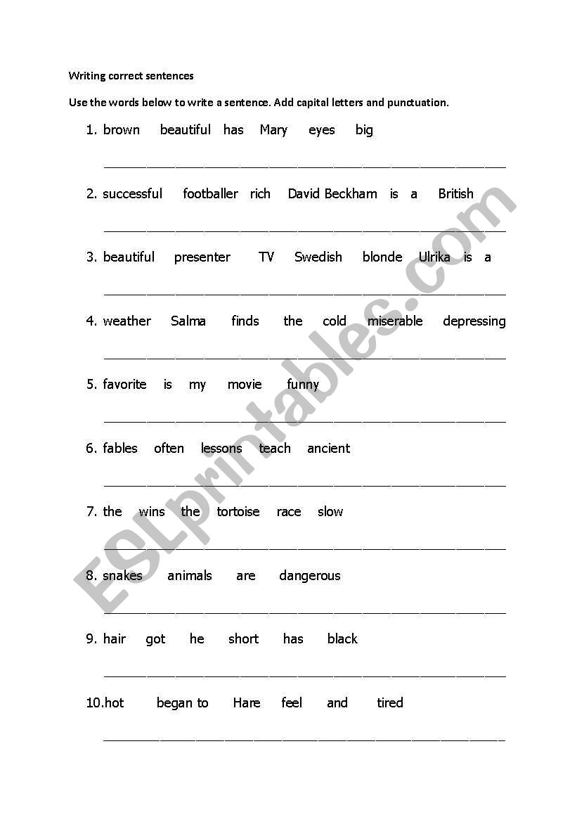 Writing correct Sentences worksheet