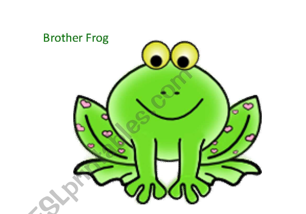 The Frog Family- FlashCards Set 2