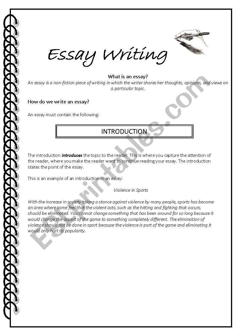 How to Write an Essay worksheet