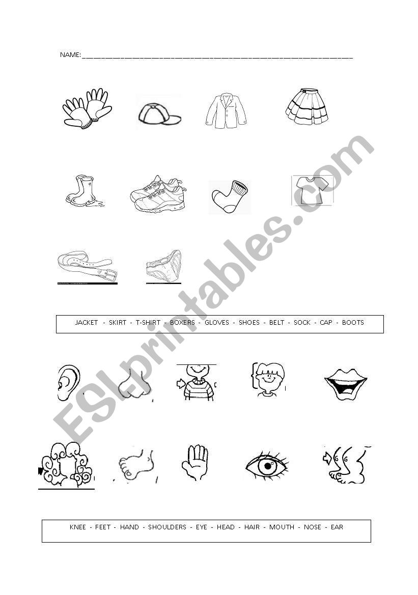 clothes and parts of body worksheet