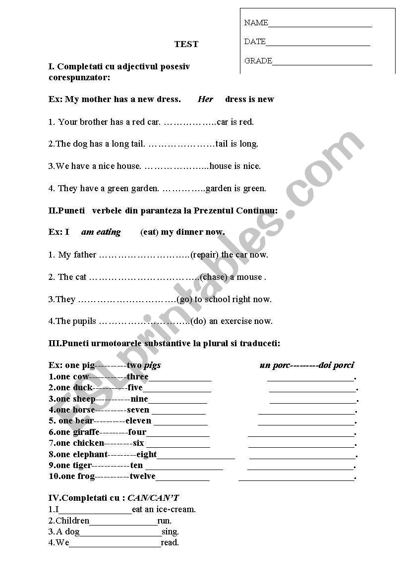 test possessive adjective worksheet