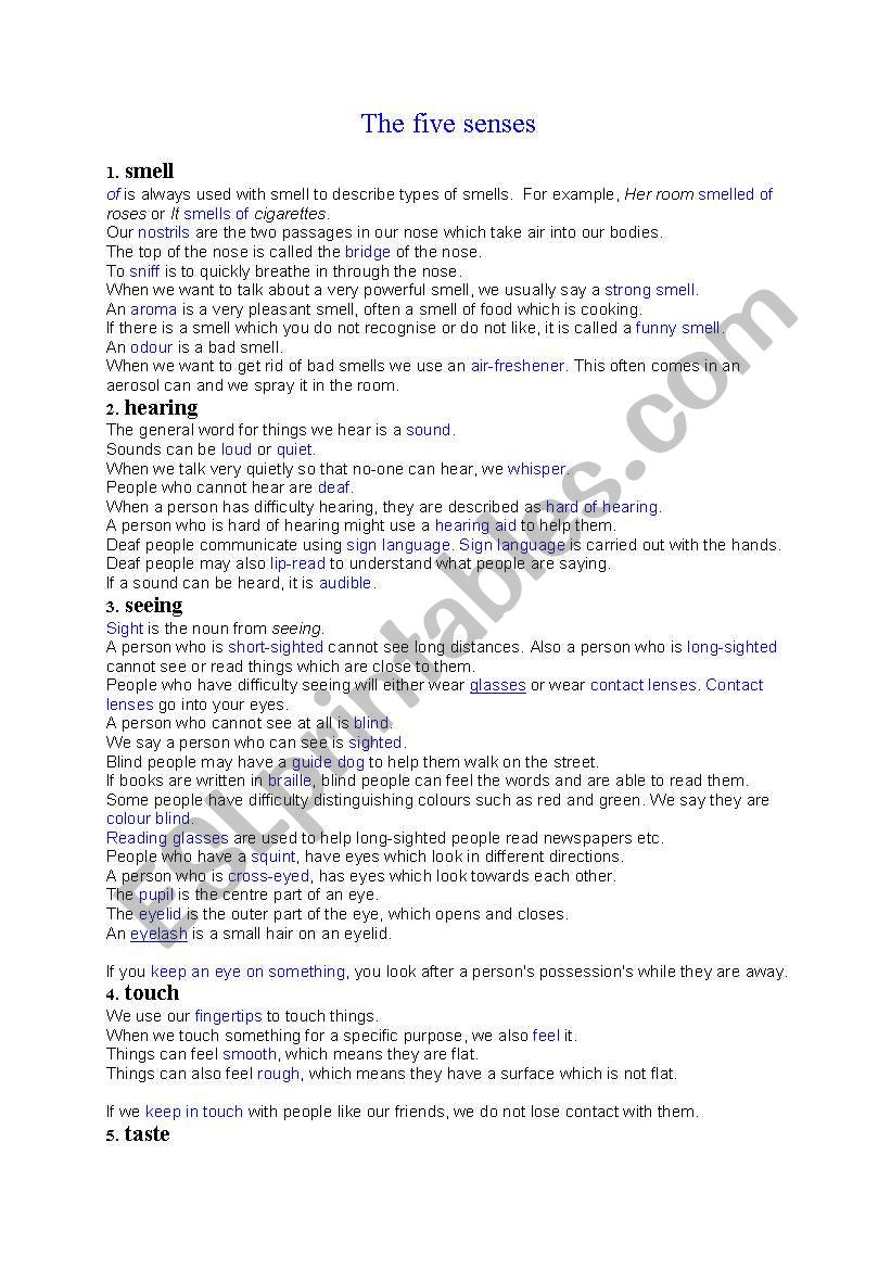 the five senses worksheet