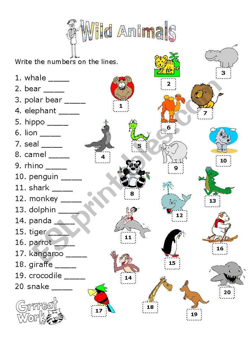 ANIMALS MATCHING ACTIVITY worksheet