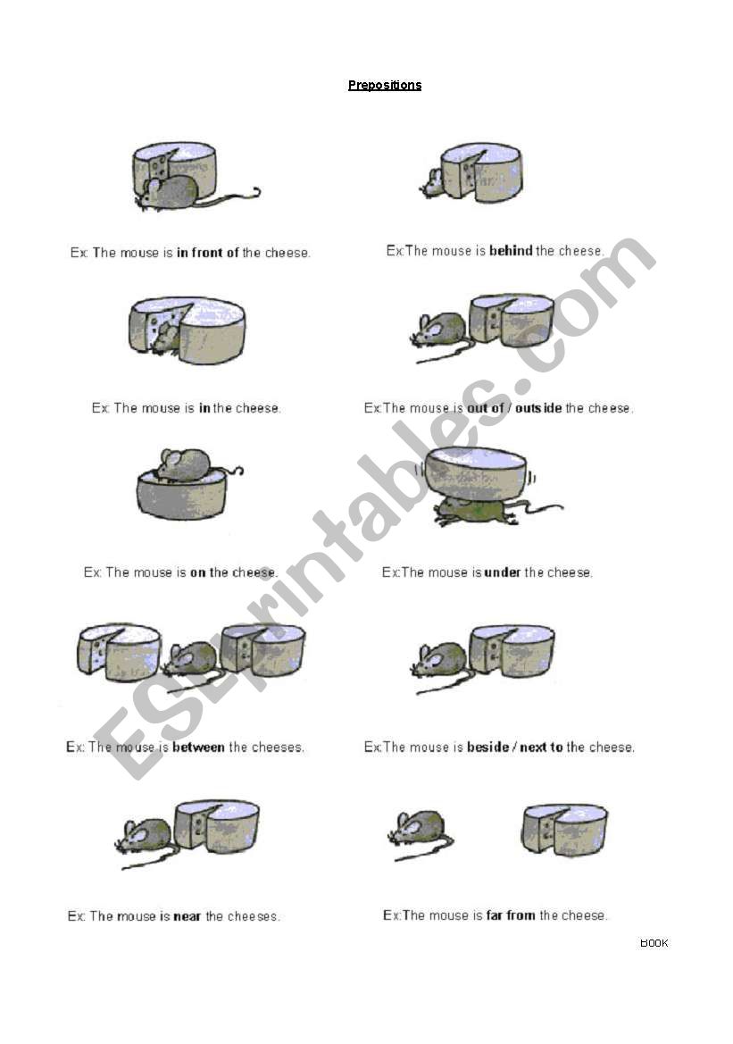 Prepositions worksheet