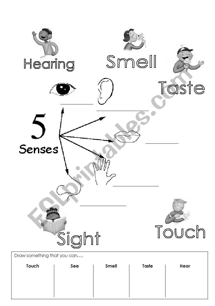 five sences worksheet