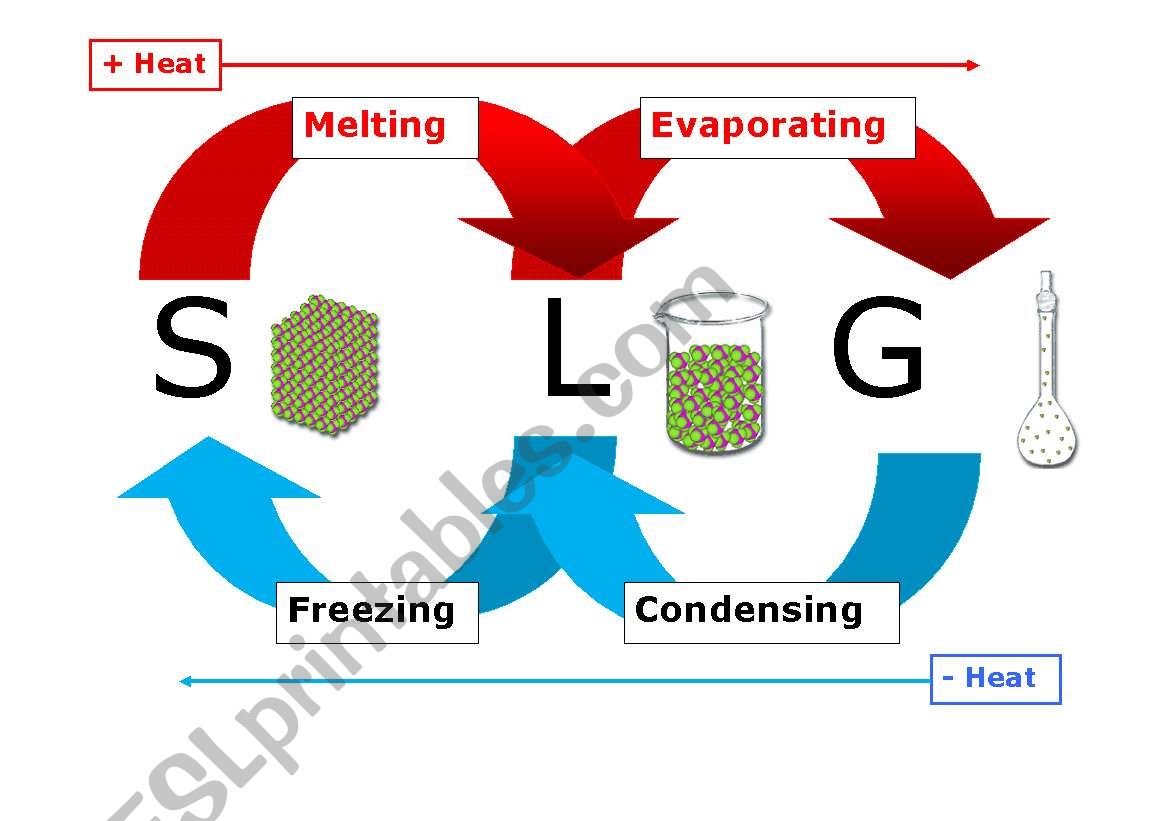 Diagram of the Water Cycle worksheet