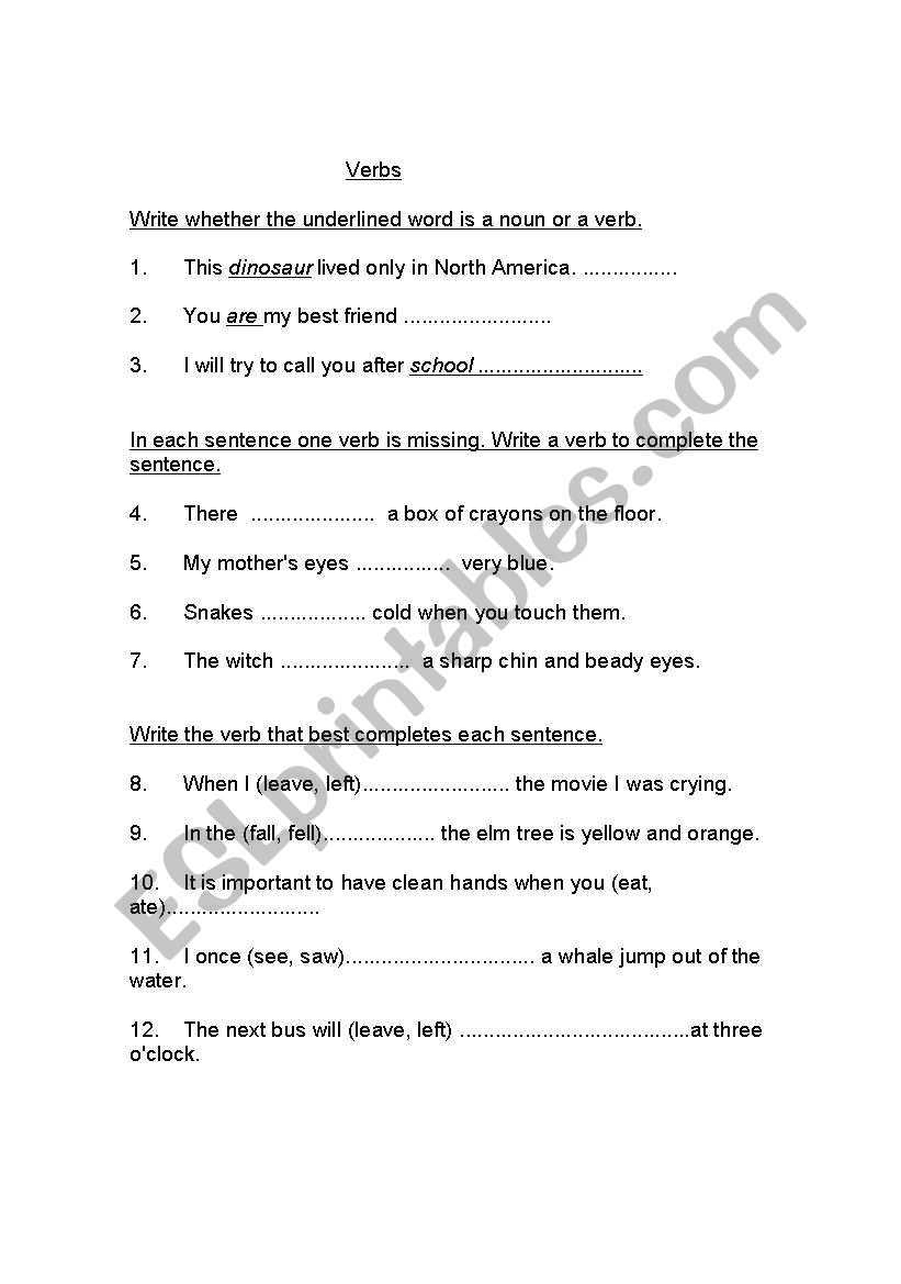 verbs  practice worksheet