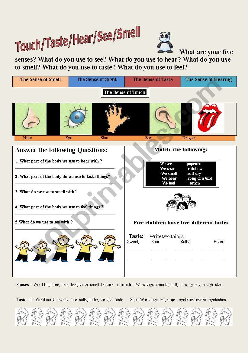 Touch/Smell/See/Taste/Feel worksheet