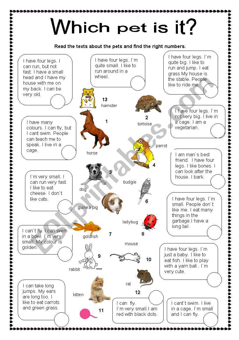 Which pet is it? worksheet