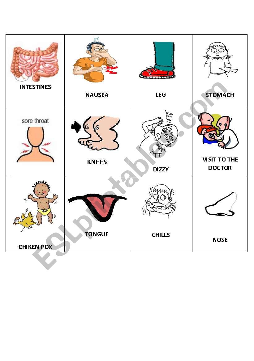 body bingo 5 worksheet