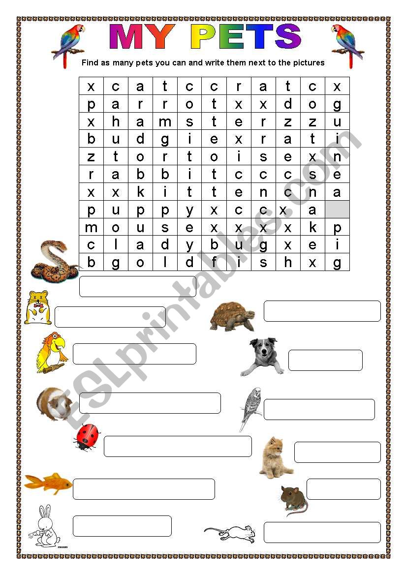 pets wordsearch worksheet