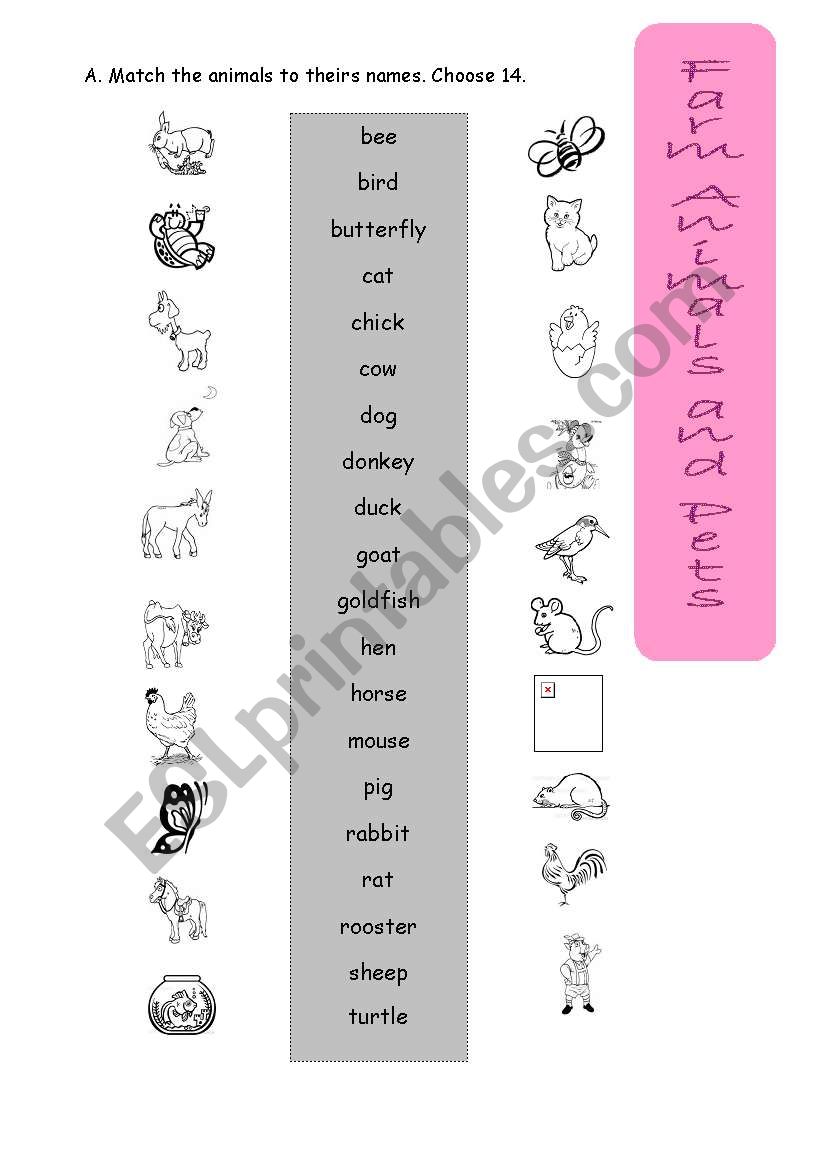 farm animals and pets worksheet