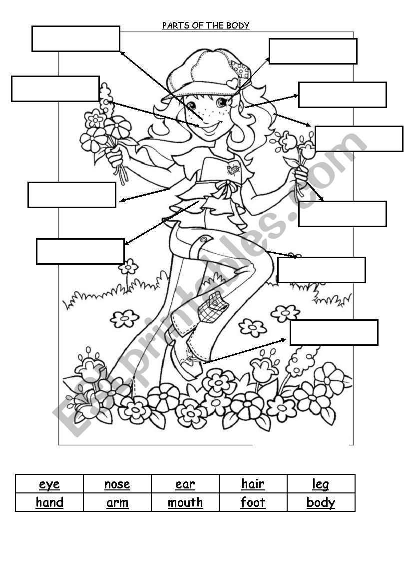 PARTS OF THE BODY worksheet