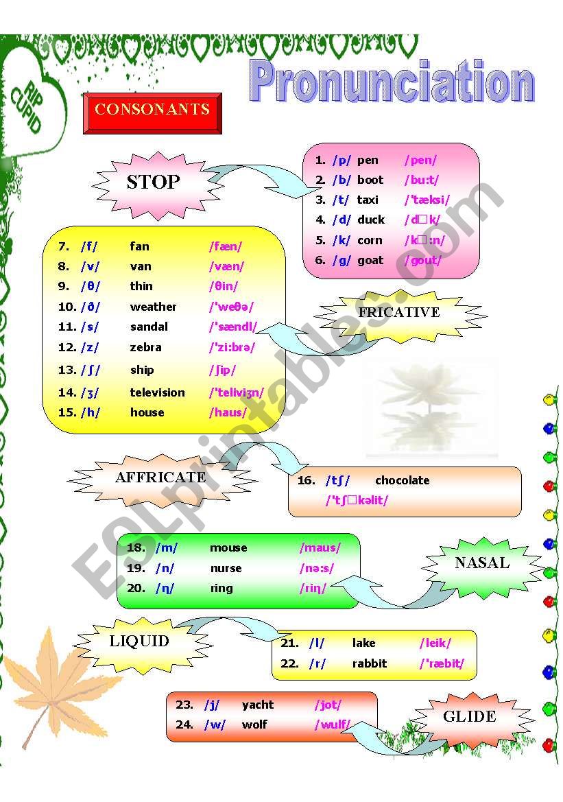 PRONUNCIATION  worksheet