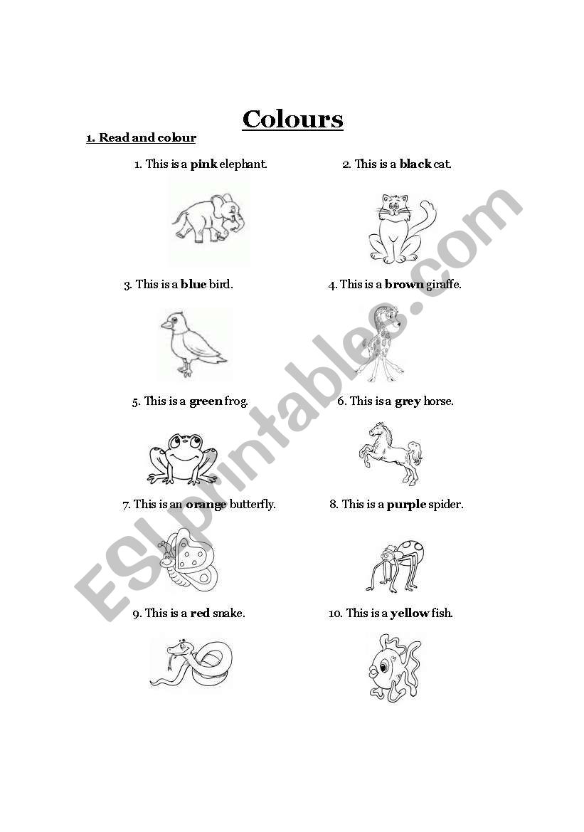 Colours worksheet