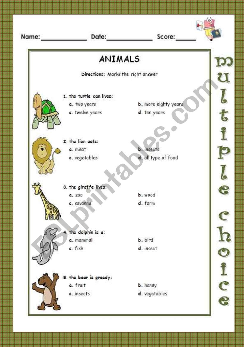 About animals worksheet