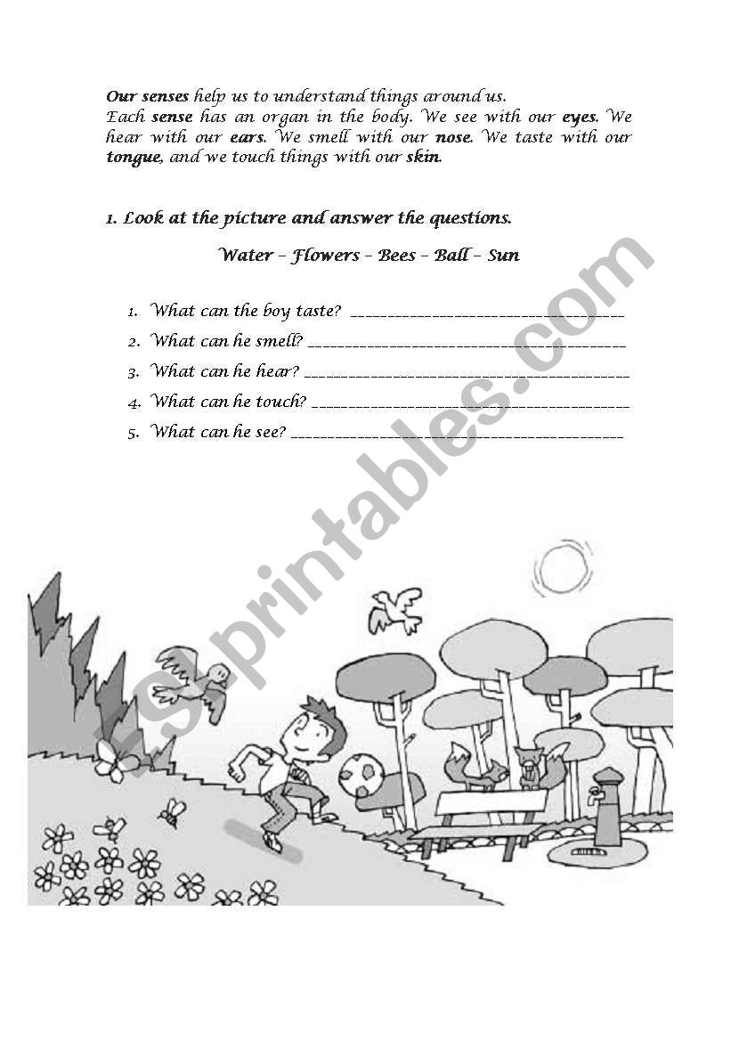 Senses  worksheet