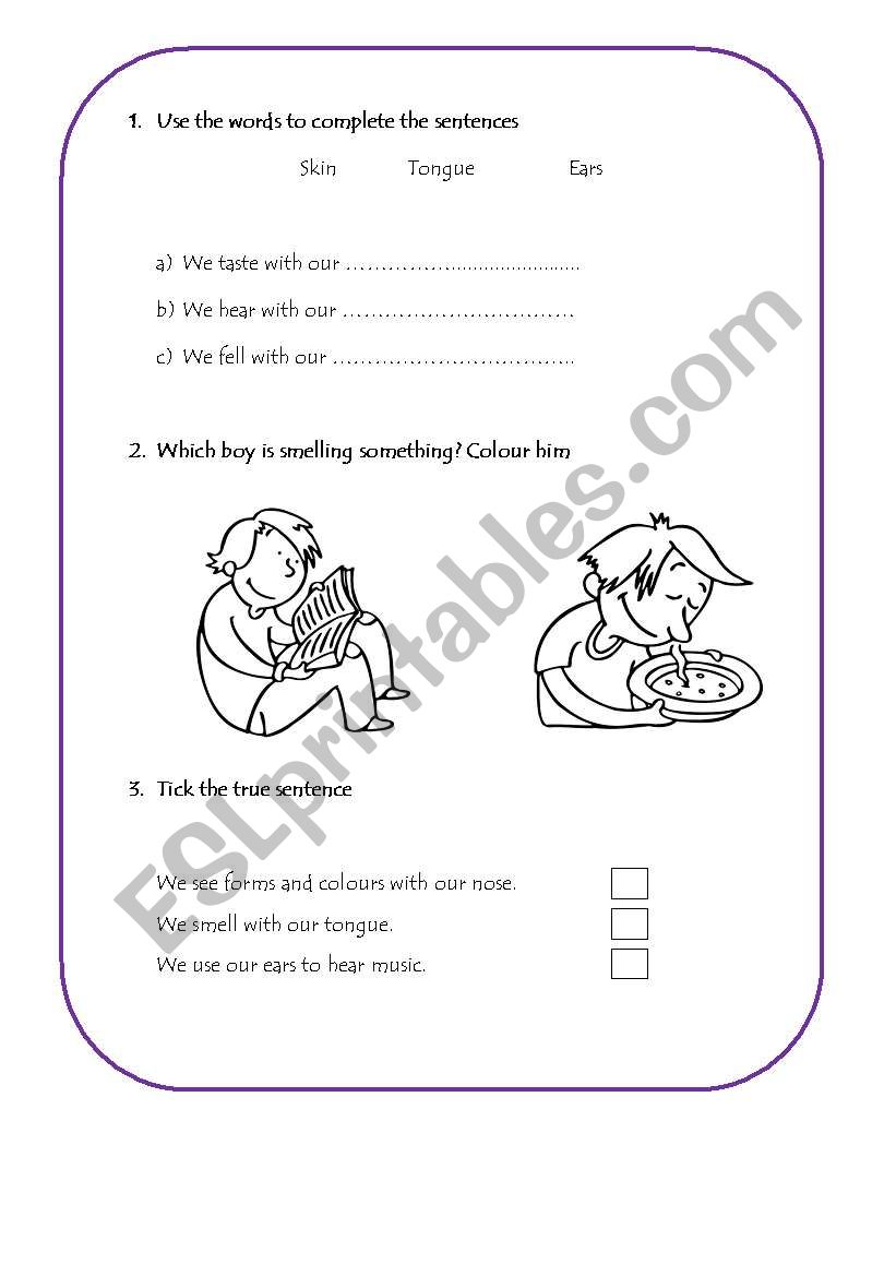 Senses Activity worksheet