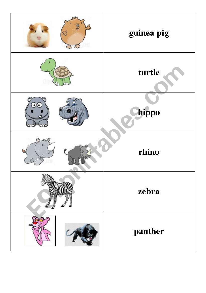 animals worksheet