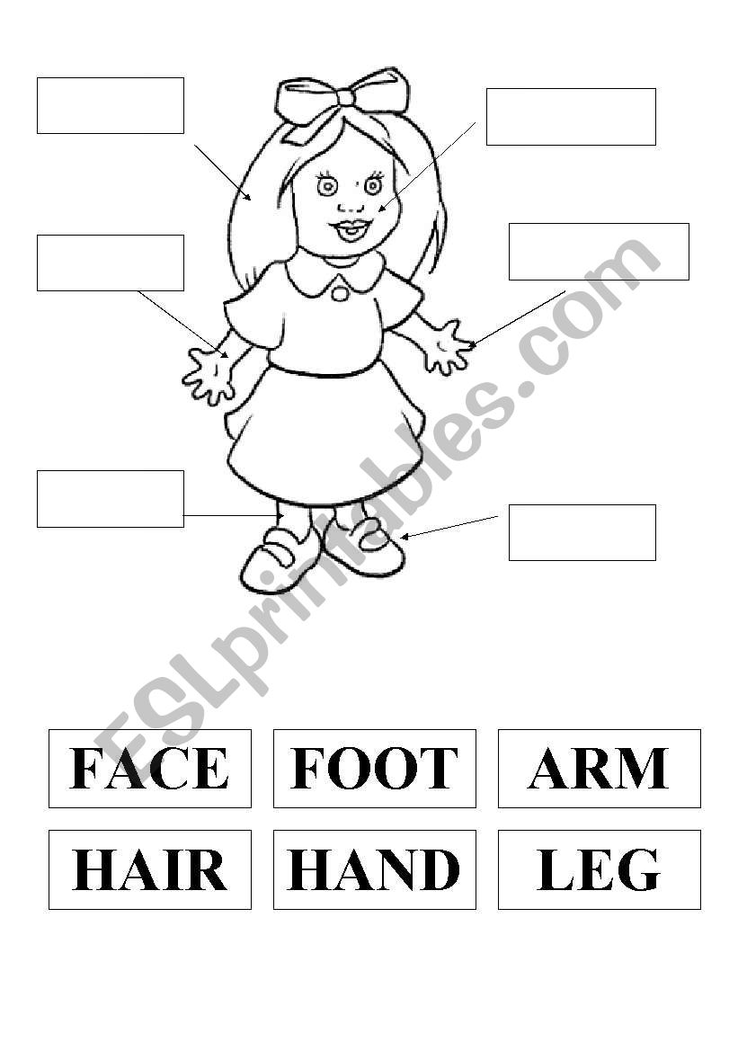 the body parts worksheet