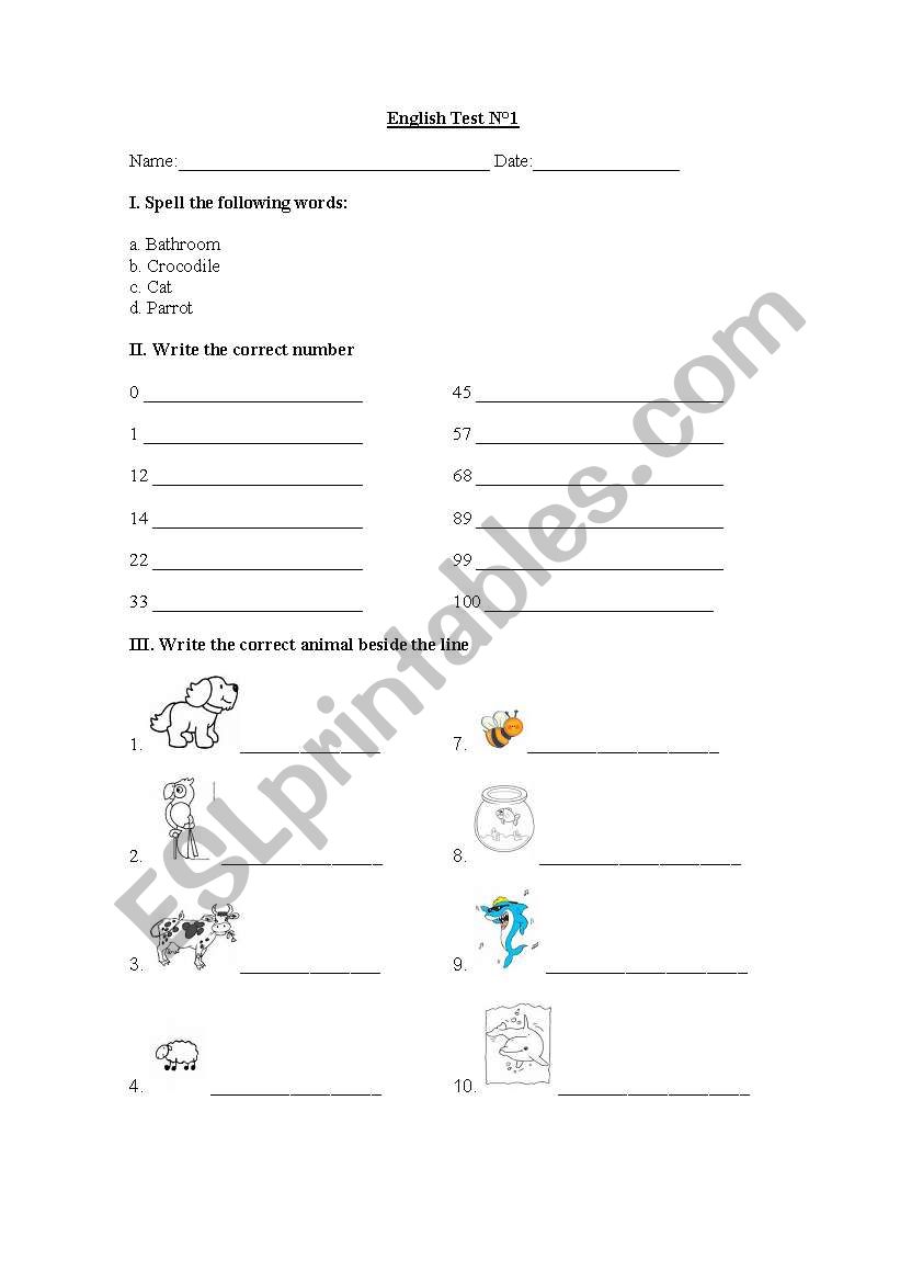 English exercises worksheet