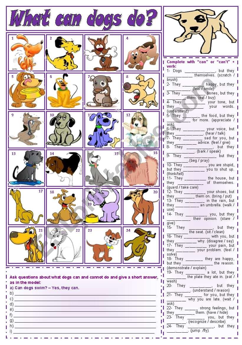 What can dogs do? - can in the affirmative, negative and interrogative forms + short answers ***fully editable