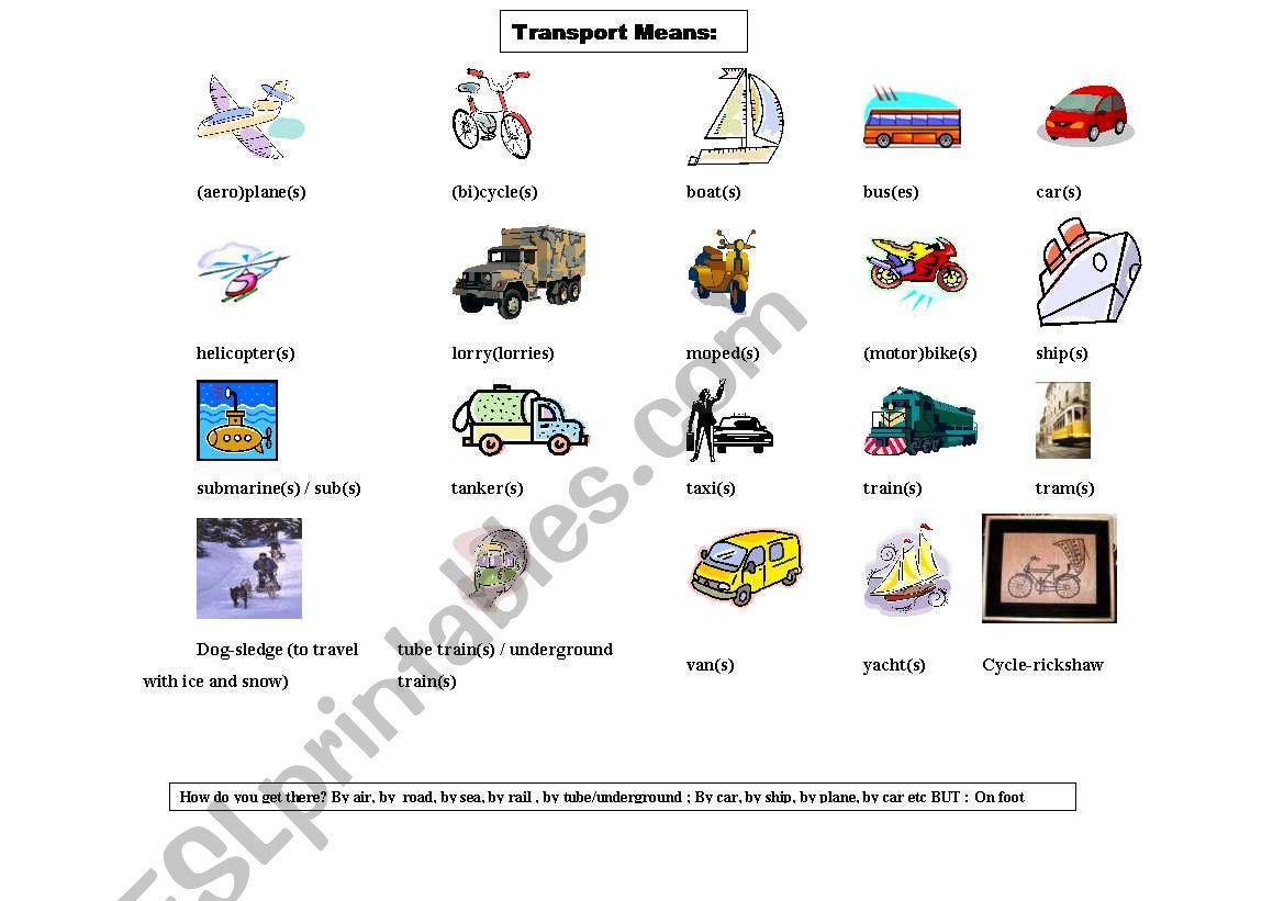 Transport Means worksheet
