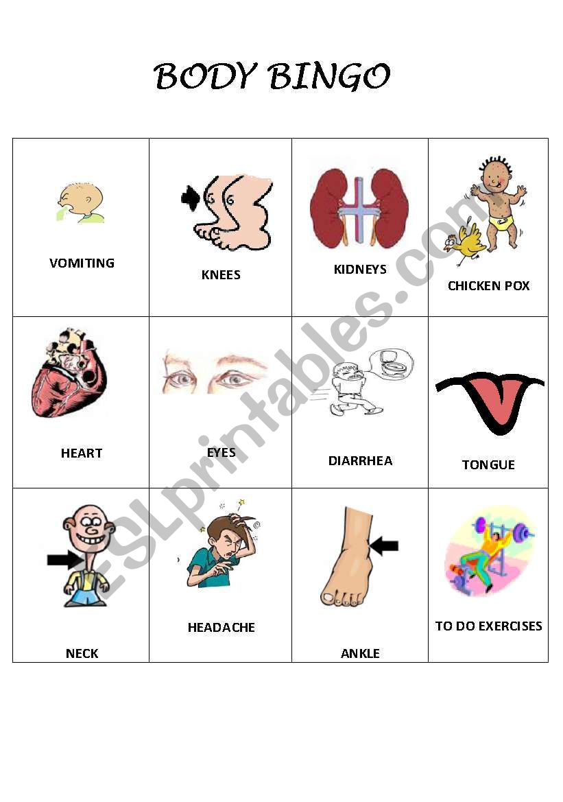 BODY BINGO 1  worksheet