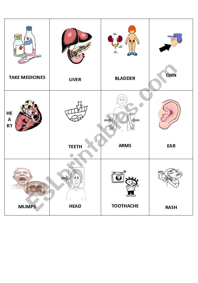 body bingo 3  worksheet